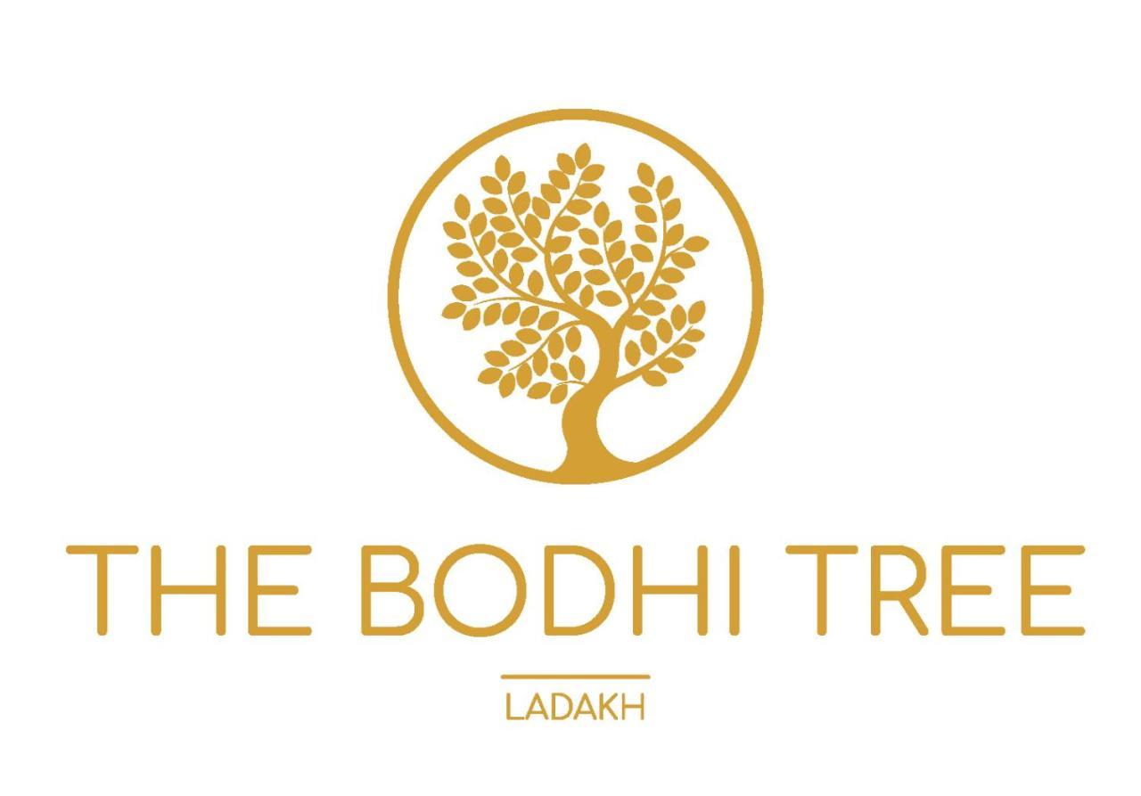 Hotel The Bodhi Tree à Leh Extérieur photo